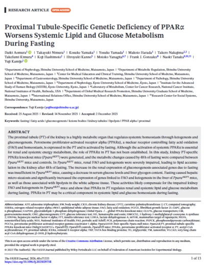 Proximal Tubule-Specific Genetic Deficiency of PPARα Worsens Systemic Lipid and Glucose Metabolism During Fasting.png